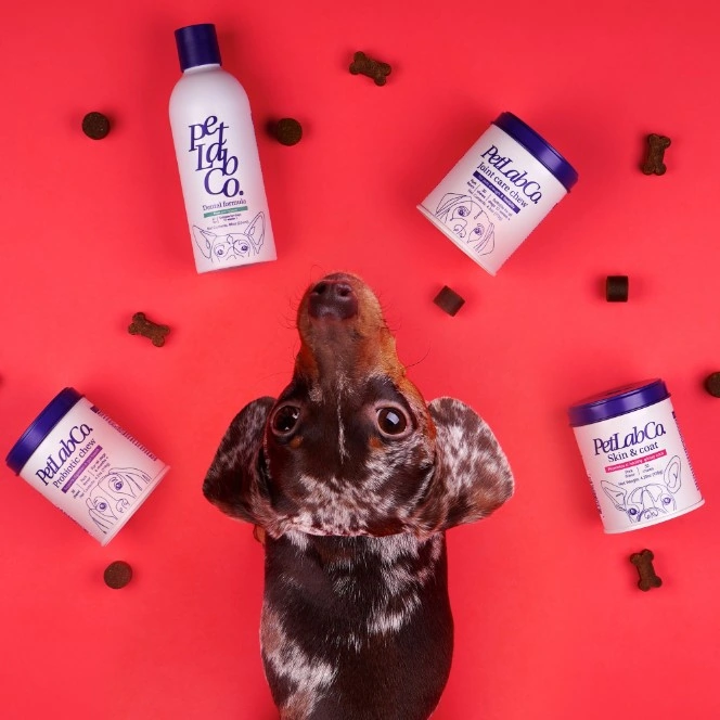 Petlab Co. Avis - doit lire ceci avant d'acheter