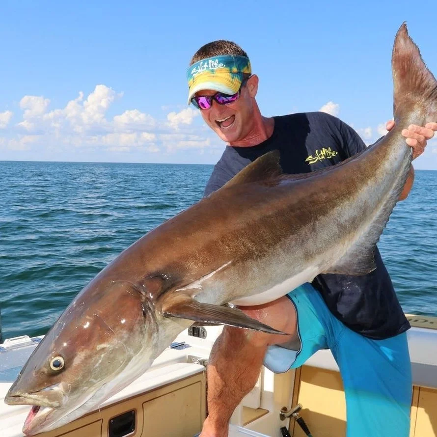Salt Life Clothing Avis - doit lire ceci avant d'acheter
