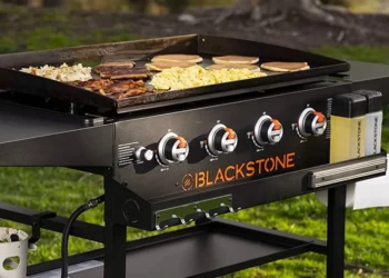 Blackstone Avis