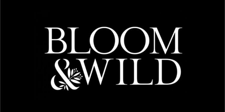 Bloom and Wild Avis