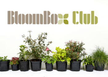 Bloombox Club avis