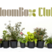Bloombox Club avis