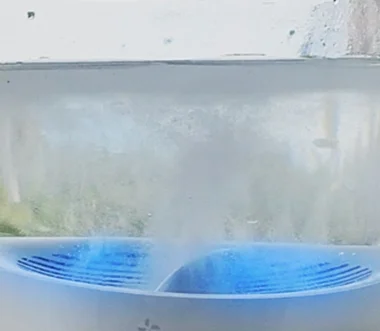 AquaPure Avis