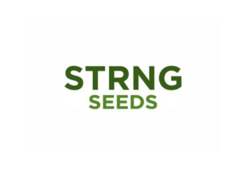 STRNG Seeds Avis