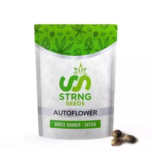 STRNG Seeds Avis
