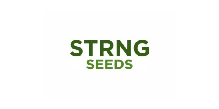 STRNG Seeds Avis