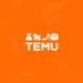 Avis Temu