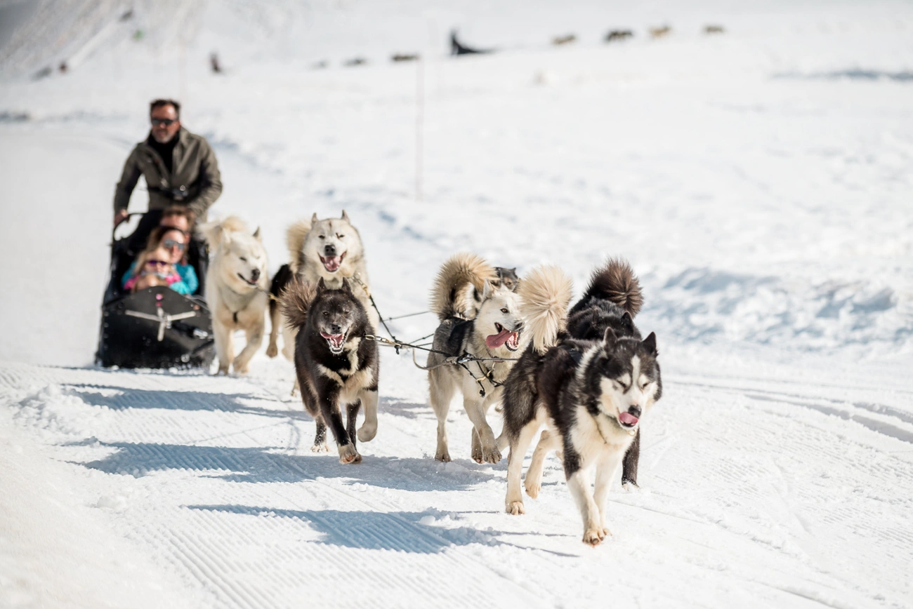 Husky team pulling a sled with two riders on a snowy trail during a winter dog sledding activity.