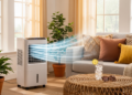 Meilleur Climatiseur pour votre salon